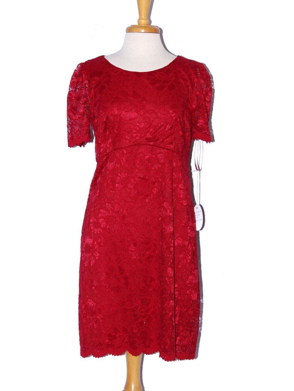 NWOT Fanny #1170 Short Lace Formal or Evening Dress-Size XL-RED-NEW